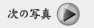 次のページ