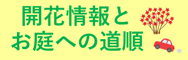 のとキリオープンガーデン2025 開花情報とお庭への道順